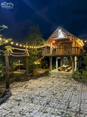 Homestay Thôn 8 Cư Êbur 2,5 Sào Giá Chỉ 2,2 Tỷ Khu Dân Cư Sẵn Hồ Siêu Suối Quỳnh Anh