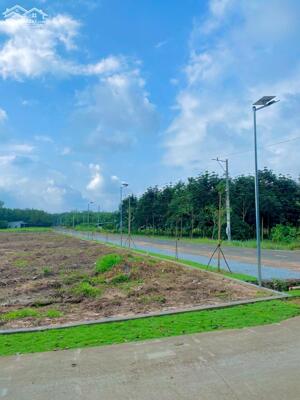 CẦN SANG LỖ NỀN 250M2 ĐẤT THỔ CƯ MT ĐƯỜNG GÒ DẬU DÂN CƯ HIỆN HỮU DÂN ĐÔNG GIÁ 500 TRIỆU