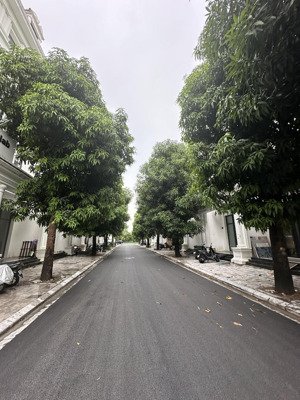 rẻ nhất dự án - giá nhỉnh 27 tỷ - căn shophouse cạnh đường 30m - lh e an louis : 