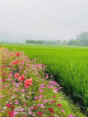 bán lô đất 760m2 bám mặt đường to liên xã tại cao dương, lương sơn, hòa bình