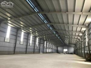 Cho Thuê Nhà Xưởng Trong Khu Công Nghiệp Bàu Bàng Bình Dương