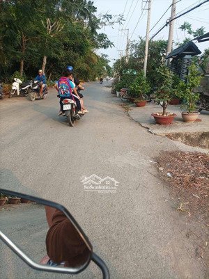 lô thổ cư rẻ nhất thị trường 484m2 đường trương văn đa