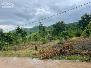 BÁN LÔ ĐẤT ĐAN PHƯỢNG – LÂM HÀ LÂM ĐỒNG GIÁ CHỈ 800 TRIỆU CHO 424M2