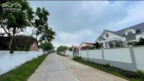 Bán đất trục chính thôn Xuân Trường, Thanh Vân, Tam Dương, Vĩnh Phúc.