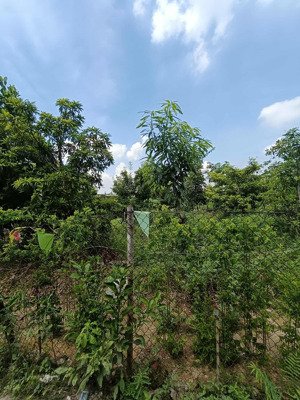 chỉ 1.6 tỷ có 160m đất 50 năm - trục chính ô tô conteno chạy thông tân phú,hưng đạo quốc oai hà nội