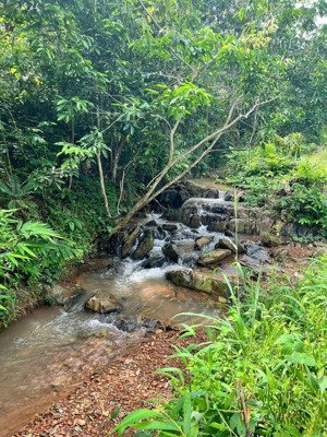 chính chủ bán đất 5ha khu dân cư ở ngay cầu la ngà giá rẻ. chắc chắn lời