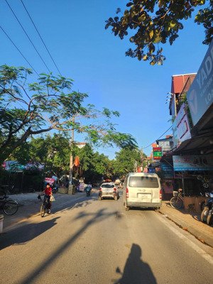 bán đất mặt phố tư đình, cổ linh dt 250m2, đường vỉa hè rộng, cạnh him lam và golf long biên
