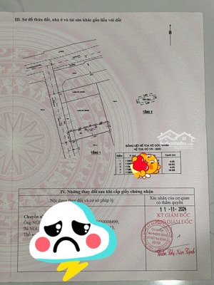 lô đất đẹp nhất đường dương quảng hàm dt 4x18m thích hợp xây nhà, chdv, tiện ích xung quanh đầy đủ