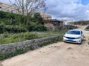 đất biệt thự đường trại mát, phường 11, tp. đà lạt, sổ riêng xây dựng, đường ô tô 4m, giá 4 tỷ