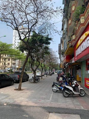 bán nhà phố hoàng hoa thám 55m , vỉa hè , oto tải tránh nhau , kinh doanh , giá 17tỷ4