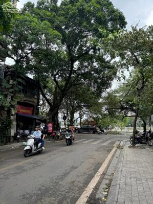 Mặt phố HỒ TRÚC BẠCH - Quán Thánh - Mặt tiền 7m - Kinh doanh đỉnh - Chỉ 46.9 t.ỷ.