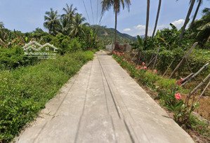 suối cát bán lô đất dân chưa qua đầu tư, giá chỉ 3tr8 /m2