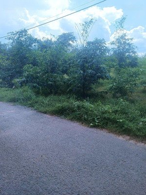 bán :đất nền đẹp 10x50 50m tc, xây nhà hoặc đầu tư, phước minh tây ninh