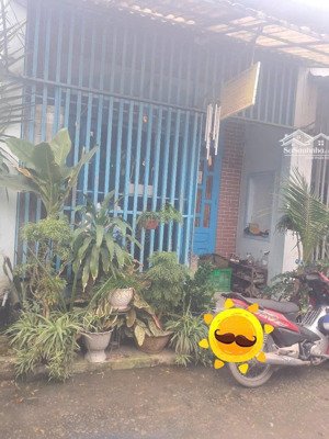 cần bán nhà chính chủ sổ chung tổ 3, khu phố phước hải, phường thái hòa, tp. tân uyên, bình dương