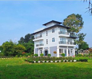 biệt thự sân vườn mây hồng villa, xây dựng phong cách châu âu, nội ngoại thất cao cấp
