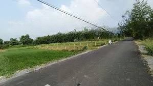 đất rộng lý tưởng trồng cây, làm trang trại an phú