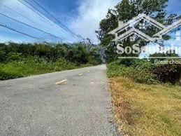 bán đất diện tích lớn, tiện kinh doanh tại cây gõ, củ chi