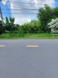 bán đất rộng, vuông đẹp tại phan thị sửu, củ chi