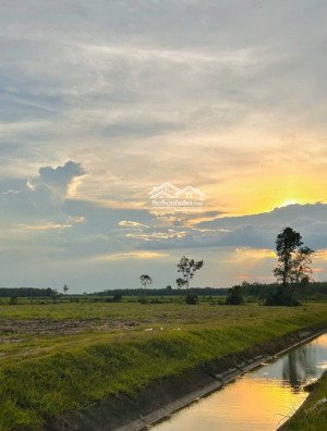 bán gấp lô đất đẹp, 777.48m2 (400m2 tc) mặt tiền đường đt 794 tân châu - tây ninh, giá 1,2 tỷ