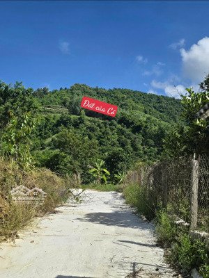 bán đất đẹp giá tốt thôn khánh thành nam, suối cát, cam lâm, khánh hòa