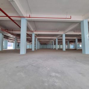 cho thuê kho xưởng kcn hải sơn, long an, pccc tự động, đường xe container