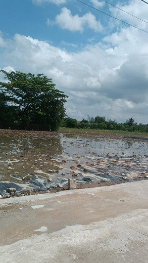 chủ ngộp cần ra gấp lô đất tại hương lộ 13, gò công, tiền giang, 820 triệu, 170m2 giá tốt