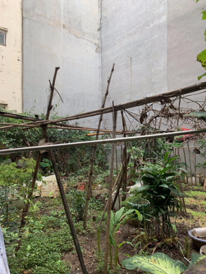 hiếm! đất phân lô lạc long quân, dt 90m, mt 9.2m, cách 1 nhà ra đường 6m 2 ô tô tránh, hơn 20 tỷ.