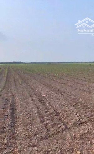 bán đất cụm công nghiệp tân ninh, tỉnh tây ninh