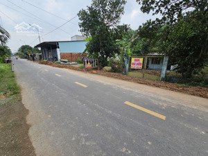 gia đình tôi bán nhà vườn rất nhiều cây ăn trái - mt đường bình hòa cây dương - 1200m2