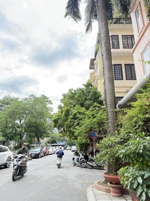 tô ngọc vân - quảng an - tây hồ ~200m2 - 54.99tỷ
khu phố tây, xây apartment dòng tiền tuyệt vời