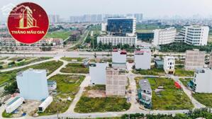 Bán 115m Vị Trí Đẹp Đất Dịch Vụ 12.5ha An Thượng