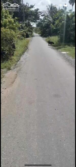 Bán đất thổ cư mt Xóm Gò, xã Đức Lập Hạ dt 130m2 giá 1,2 tỷ