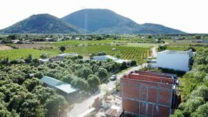 Đất Phường Bình Minh, View Núi Bà, Đường Nhựa, Thổ cư, Sát bên khu nhà lầu. 290 triệu/công chứng