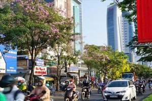 siêu phẩm đất 446m² mt điện biên phủ - giáp q1 - ctxd: 2 hầm 10 tầng. chỉ 102 tỷ