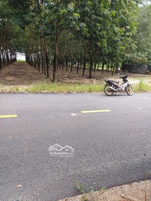 chính chủ cần bán lô đất mặt tiền đường tân định 37, bắc tân uyên, bình dương, giá đầu tư