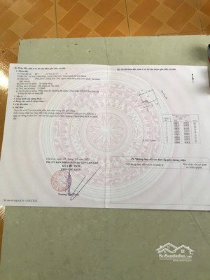 bán đất chính chủ tam thôn hiệp, cần giờ mặt tiền đường 40m giá chỉ 8,8 triệu/m²