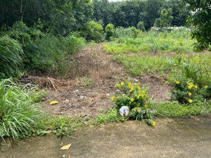 chỉ 450 triệu sở hữu ngay lô đất thổ cư sát đường dh507, gần ubnd xã an long, tp. hcm