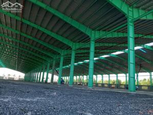 Cho Thuê Nhà Xưởng 6.990m2 Giá Rẻ Chỉ 455 Triệu. Tam Phước-Biên Hòa-Đồng Nai