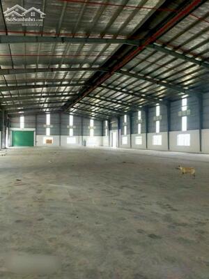 Cho Thuê Kho Xưởng Kcn Hải Sơn, Long An, Pccc Tự động, đường Xe Container