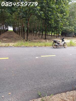 Chính chủ cần bán lô đất mặt tiền đường Tân Định 37, Bắc Tân Uyên, Bình Dương, giá đầu tư