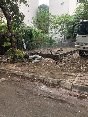 bán đât đg trịnh văn bô 85m2, mặt tiền 7m đường rộng 12m giá đầu tư 225 triệu/m2