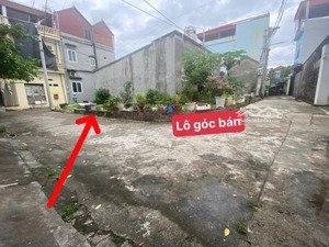 chính chủ chuyển nhượng lô góc 55m2 gia thượng, quang minh đường ô tô