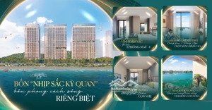 em có quỹ vip căn hộ mặt biển sun centro town hạ long đối diện tháp domino 100 tầng! giá rẻ !