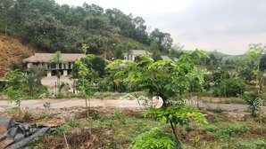 bán khu sinh thái nghỉ dưỡng 7,6ha bao gồm cả đất ở tại lạc thủy, hòa bình. giá vài trăm nghìn/m2