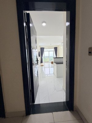 cho thuê căn hộ 2pn 2wc chung cư terra tại trung tâm huyện nhơn trạch lh: 