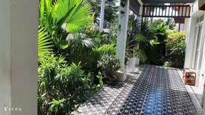 cho thuê biệt thự 2 mặt tiền đường lớn 23 và đường nội khu nam thông 2 - phú mỹ hưng