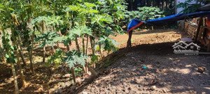 cần bán gấp đất tại chợ cống, quốc lộ 6, phường chương mỹ, diện tích 386m2, ngõ 4m