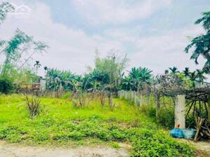  LÔ ĐẤT ĐẸP 190m² – ĐƯỜNG RỘNG – GIÁ 7XX TRIỆU GIÁO ÁI, ĐIỆN HỒNG – GẦN CHỢ LẠC THÀNH – GẦN DT 605