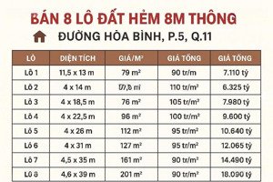 quận 11, ngay đầm sen, hòa bình, 8 lô đất thổ cư, gần 1000m2, chỉ từ 6 tỷ nhỉnh