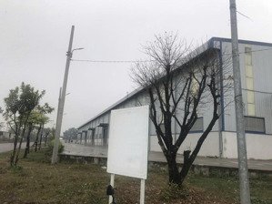 cho thuê kho xưởng cụm cn nguyên khê 3680m2